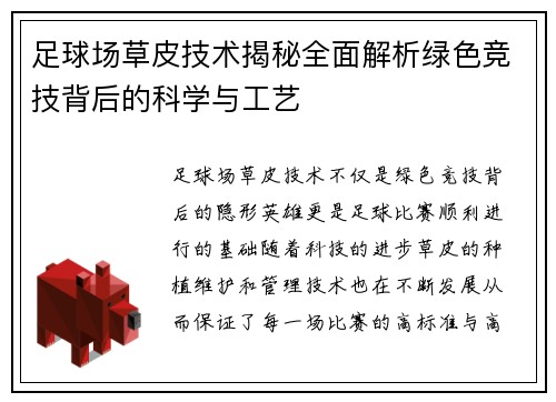 足球场草皮技术揭秘全面解析绿色竞技背后的科学与工艺 足球场草皮技术揭秘全面解析绿色竞技背后的科学与工艺